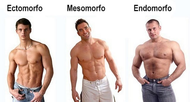 Mesomorfo, Ectomorfo ou Endomorfo