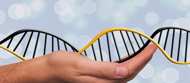 Como a Genética Afeta a Sua Saúde